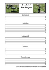 Steckbriefvorlage-Streifengans.pdf